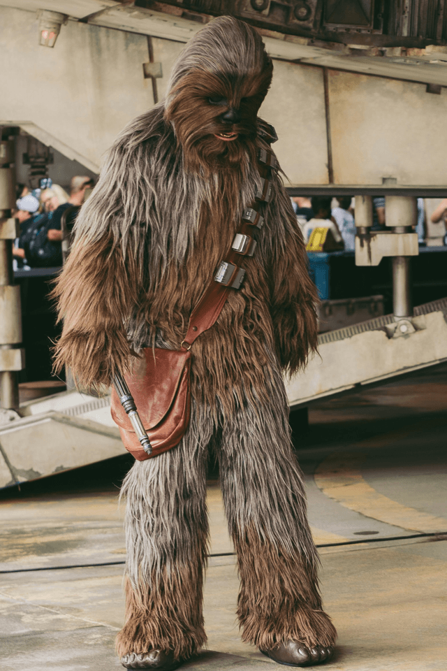 Different species from Star Wars such as Wookiees and Twileks